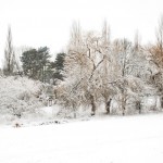snow-049