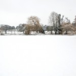 snow-067