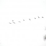 snow-088