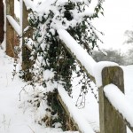 snow-157