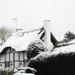 snow-169