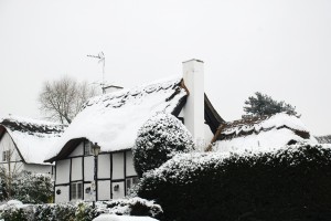 snow-169