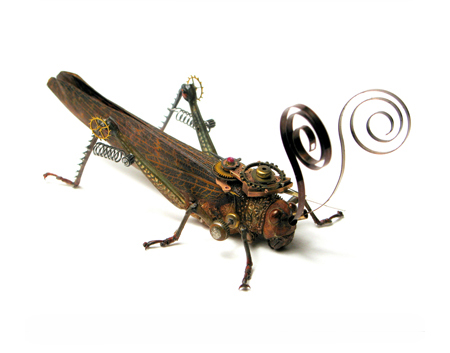 insect2a