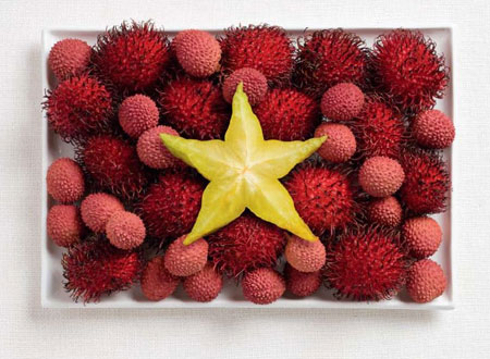 vietnam vietnam