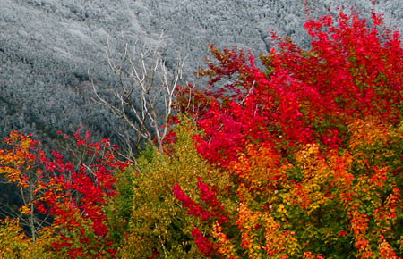 autumn2