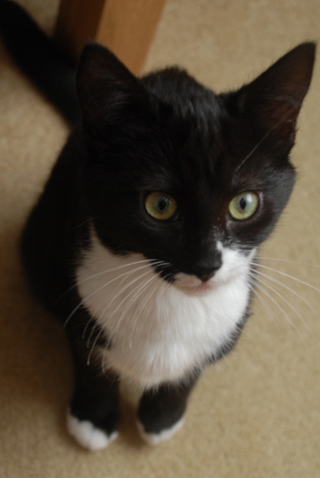 milly1