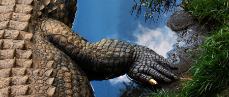 natgeo3