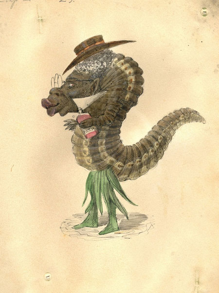 mg_leech