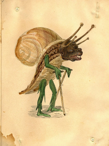 mg_snail