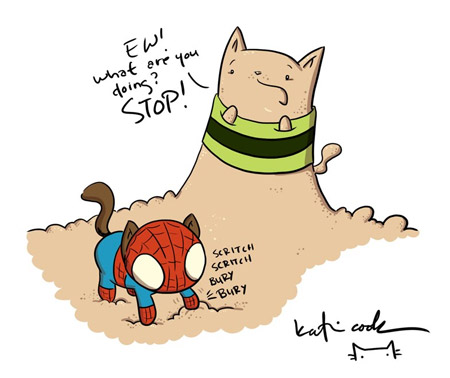 spidercat